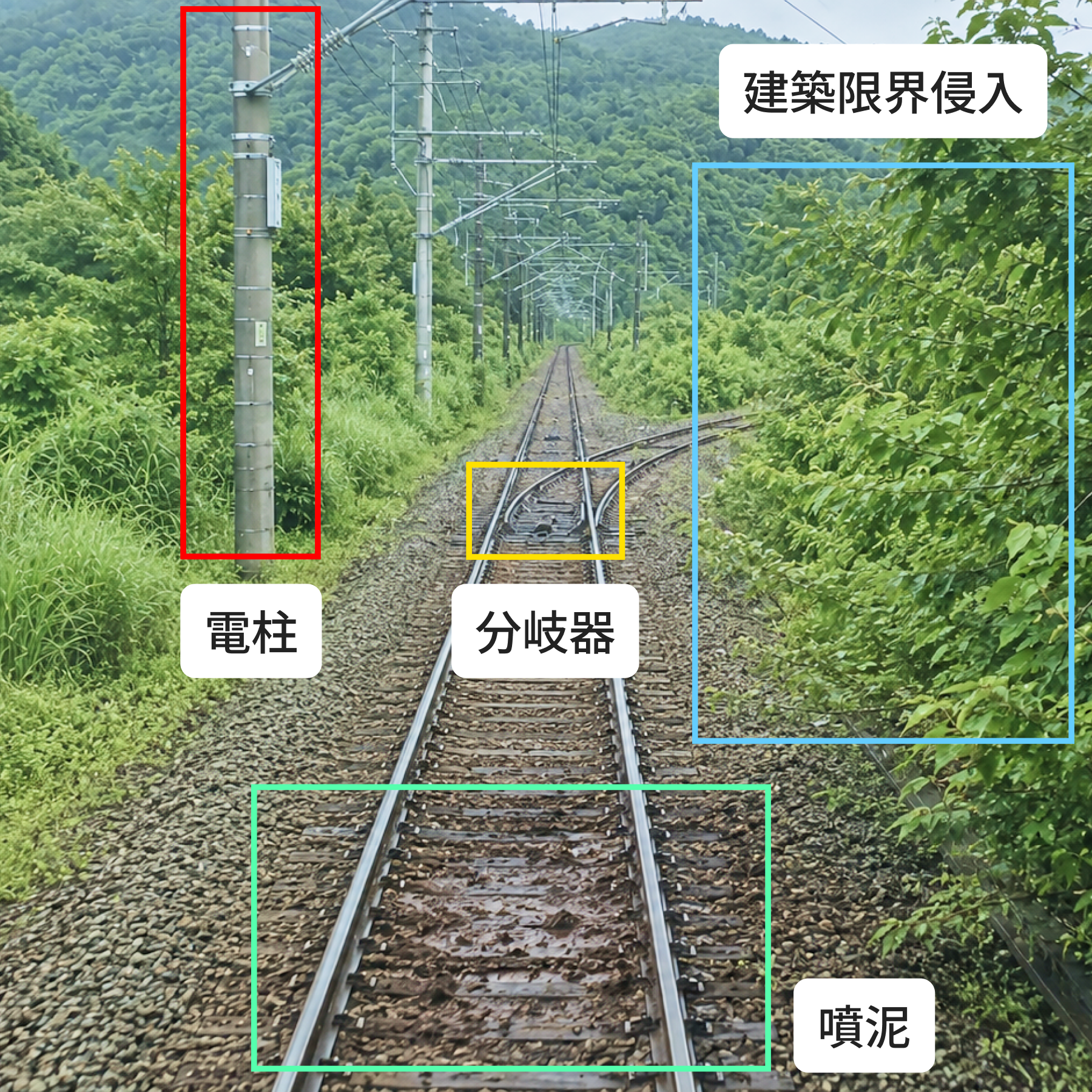 前方画像の閲覧・AI解析