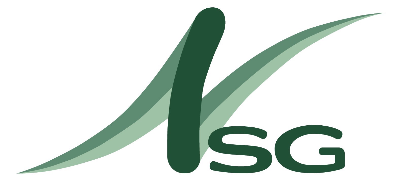 株式会社 日本線路技術(NSG)